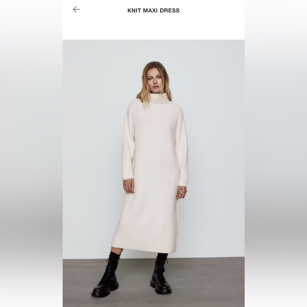 Zara Knit Sweater Dress